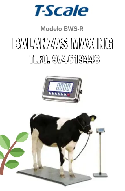 Balanza Tscale Modelo BWS – Balanzas Maxing, Balanzas en Chiclayo, Balanzas  en Lima, Balanzas en Lambayeque,Balanzas en Olmos, Balanzas en Motupe,  Balanzas en Jayanca, Balanzas en Cajamarca, Balanzas en Piura, Balanzas  Electronicas,